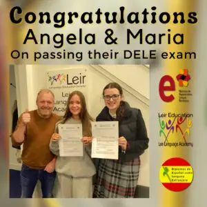 Spanish for Teens TY Students pass their DELE Exam.
